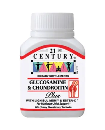 21st Century Glucosamine & Chondroitin Capsule 60